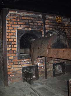 IMG_1519.JPG